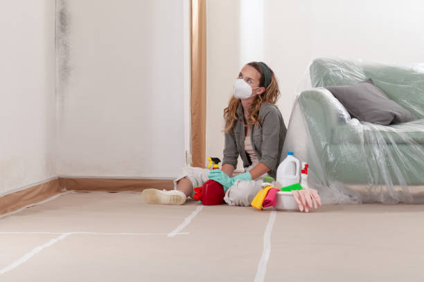 Reliable Black Mold Remediation contractor in Waltham, MA by Car Mold Remediation